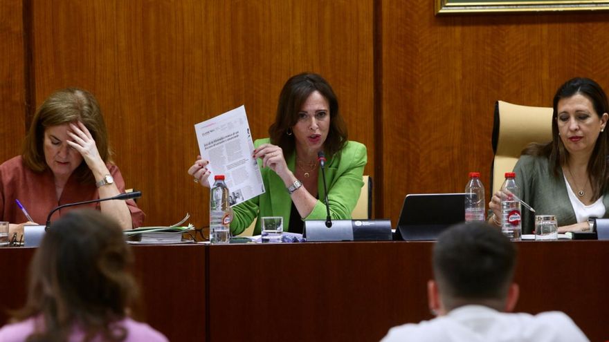 La Junta insta al Estado a que convoque la comisión de seguimiento de la Variante Oeste de Córdoba