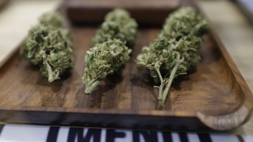 El Ayuntamiento de Barcelona estrecha el cerco sobre los clubes de cannabis y busca la manera de cerrarlos todos