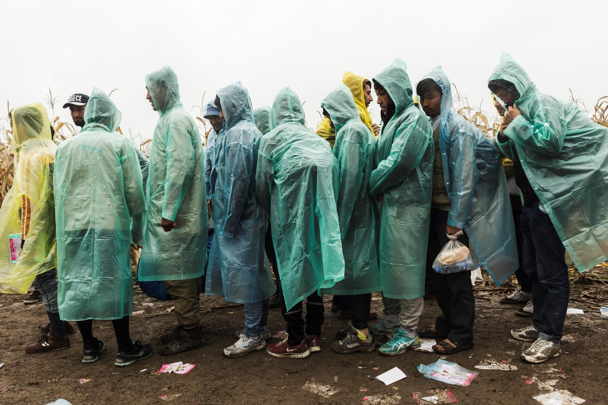 Refugiados de Afganistán esperan para cruzar a Croacia. “Hemos llegado a atender a pacientes por desmayos, algo que nunca antes habíamos visto", explica Alberto Martínez Polis, coordinador médico de MSF en Serbia. "En algunos casos, estas situaciones están provocadas por la presión de las aglomeraciones, o por la falta de dosis adecuadas de comida, bebida o sueño durante varios días. Nos explican que tienen miedo de dejar la cola, ya que podrían perder a su familia o su lugar en la fila y por eso no se mueven de su sitio”. Fotografía: Achilleas Zavallis