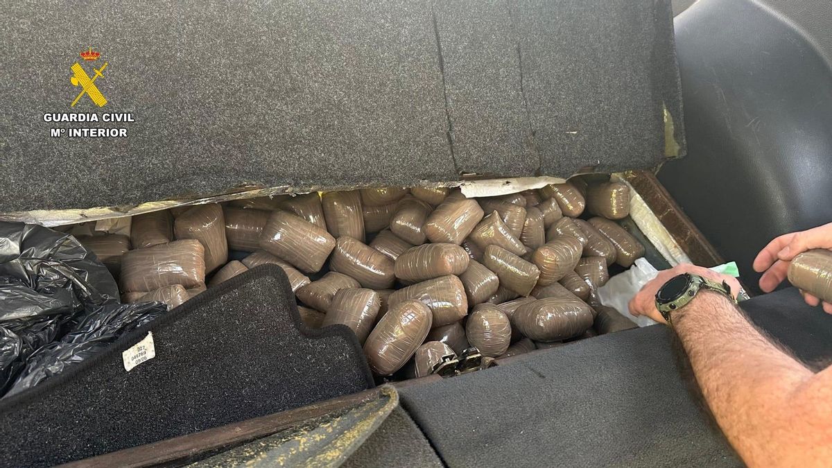 A la cárcel tras ser interceptado con 40 kilos de hachís en un operativo por el Womad de Cáceres