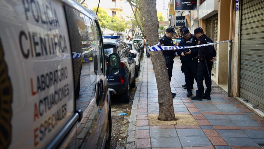 La Policía Nacional investiga unos hechos ocurridos este jueves 22 de enero en Fuengirola (Málaga) en el que las primeras pesquisas apuntan a que un joven ha matado su padre y ha herido de gravedad su madre, tras lo que se precipitó por una azotea.
