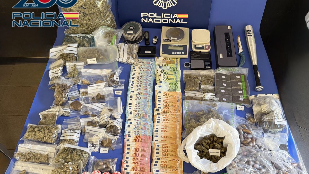 Tres detenidos y un imputado tras desmantelar un club de cannabis y una plantación de marihuana en Córdoba