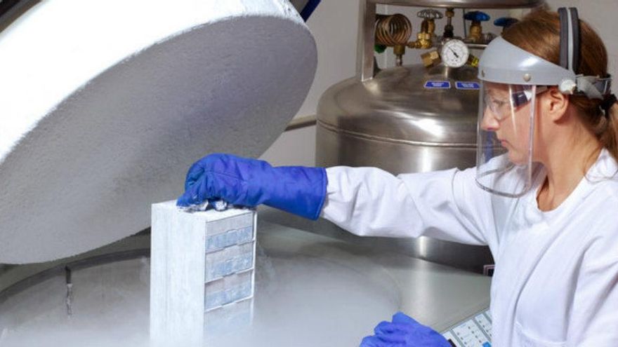 Las carreras mejor remuneradas tienen brechas de género más grandes