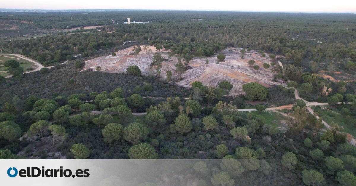 Adiós a una de las pocas zonas costeras de Huelva sin tocar: la mayor urbanización de Andalucía levantará cientos de casas
