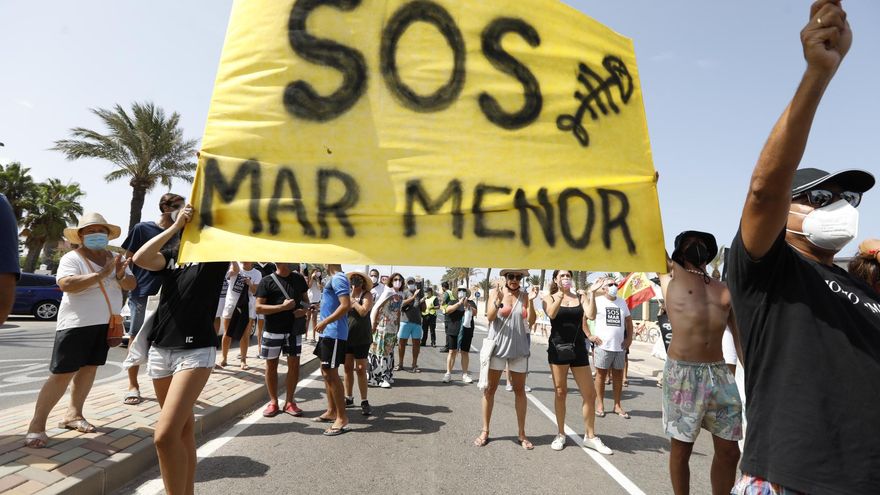 Diez días de anoxia en el Mar Menor: "No puedes bañarte del olor a putrefacción de los peces muertos"