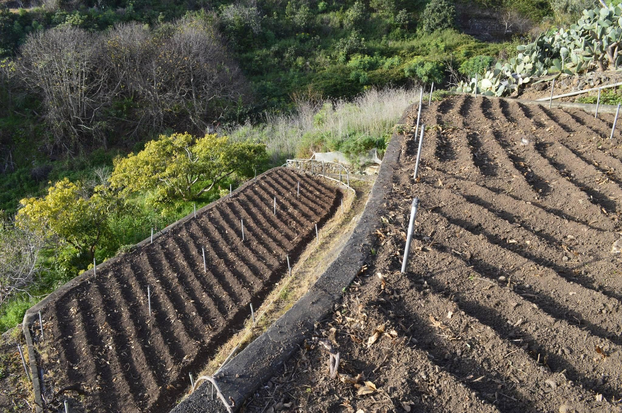 Tierra labrada. ÓSCAR LORENZO