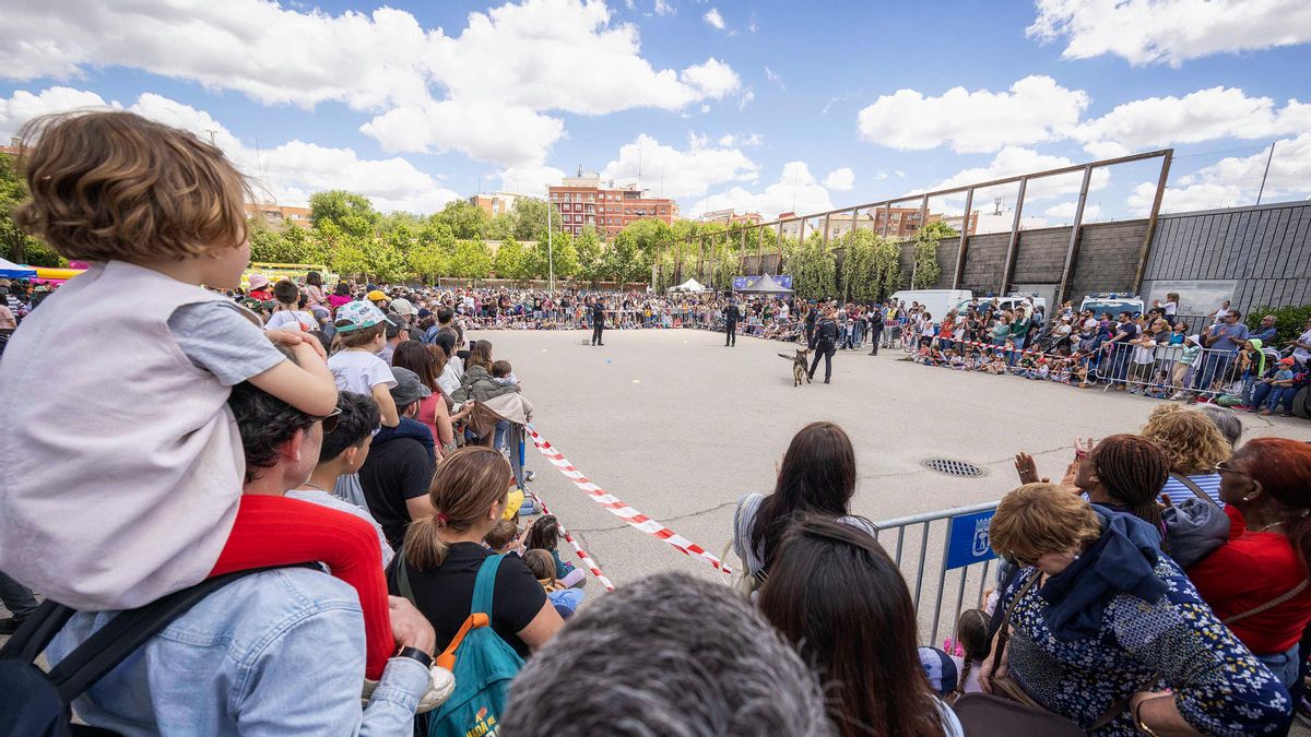 Exhibición canina de la Policía Municipal de Madrid durante la celebración del Día de las Familias en 2024