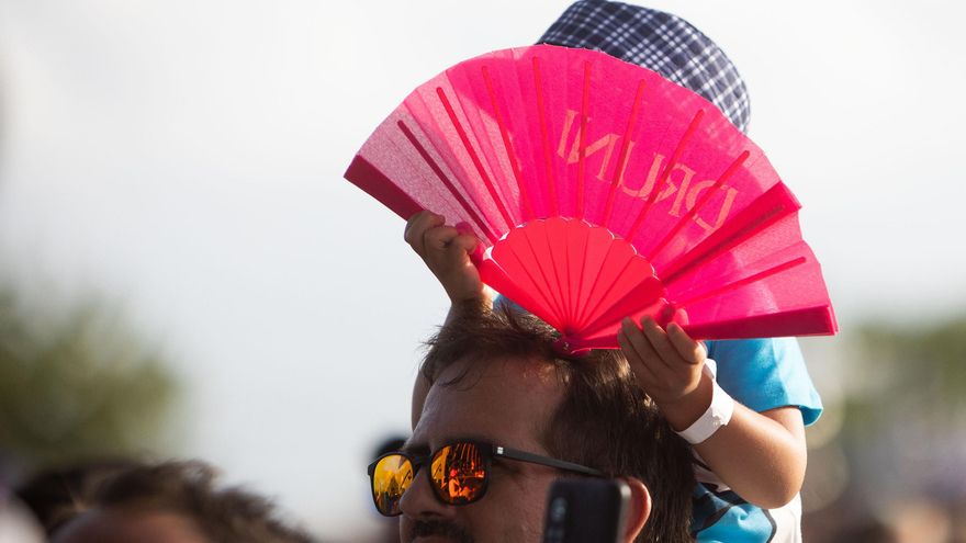 Los pediatras desaconsejan llevar a bebés y niños pequeños a conciertos de adultos por riesgo auditivo