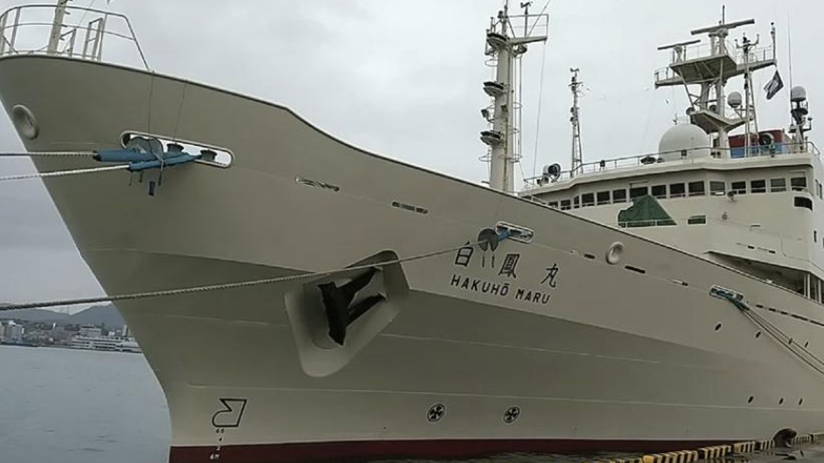 Una investigación japonesa calculó entre 10.914 y 10.932 metros mediante cinco modelos aplicados a registros acústicos obtenidos durante 2023 por el buque Hakuho-maru