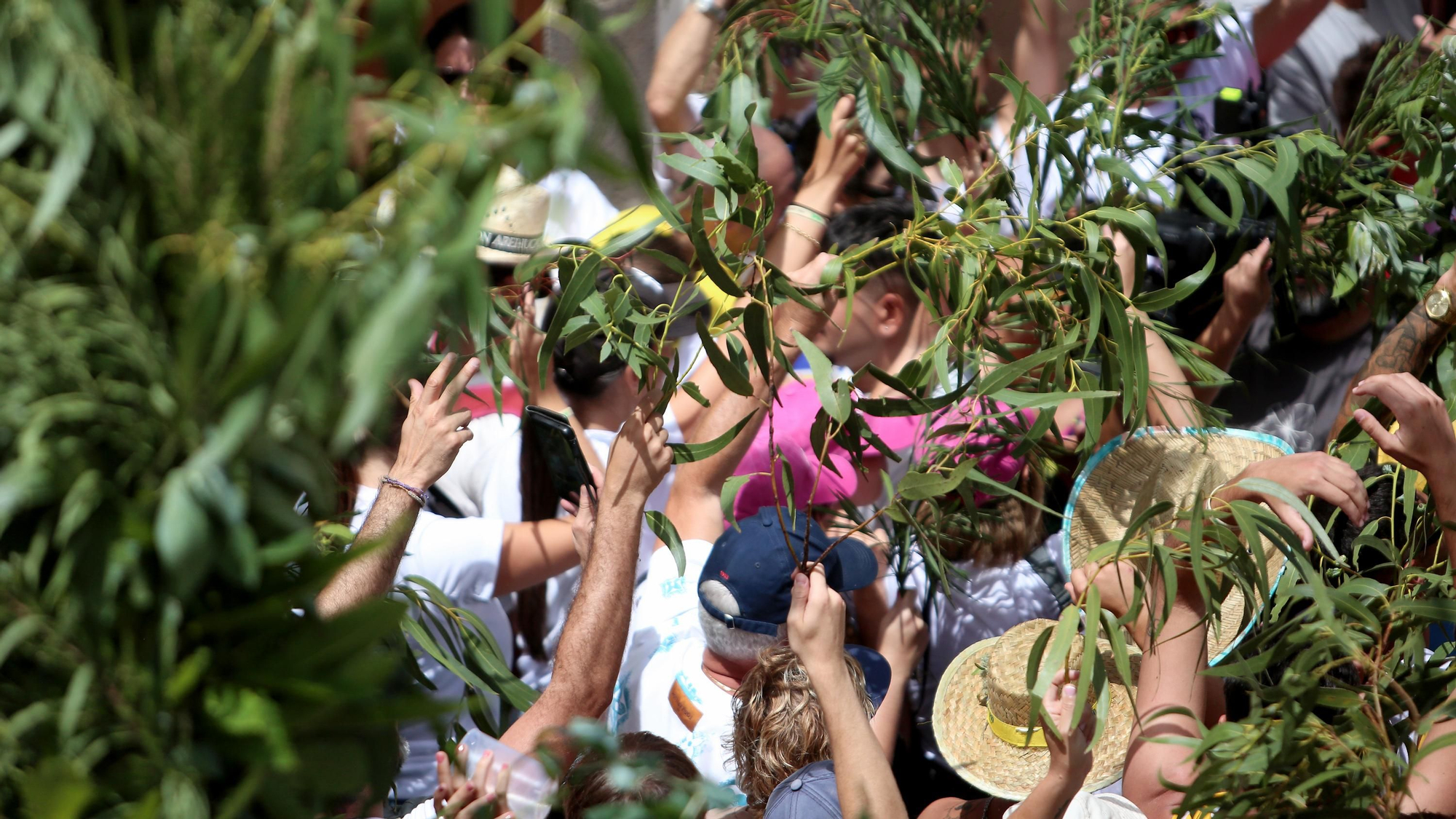 Galería de imágenes de La Rama 2025