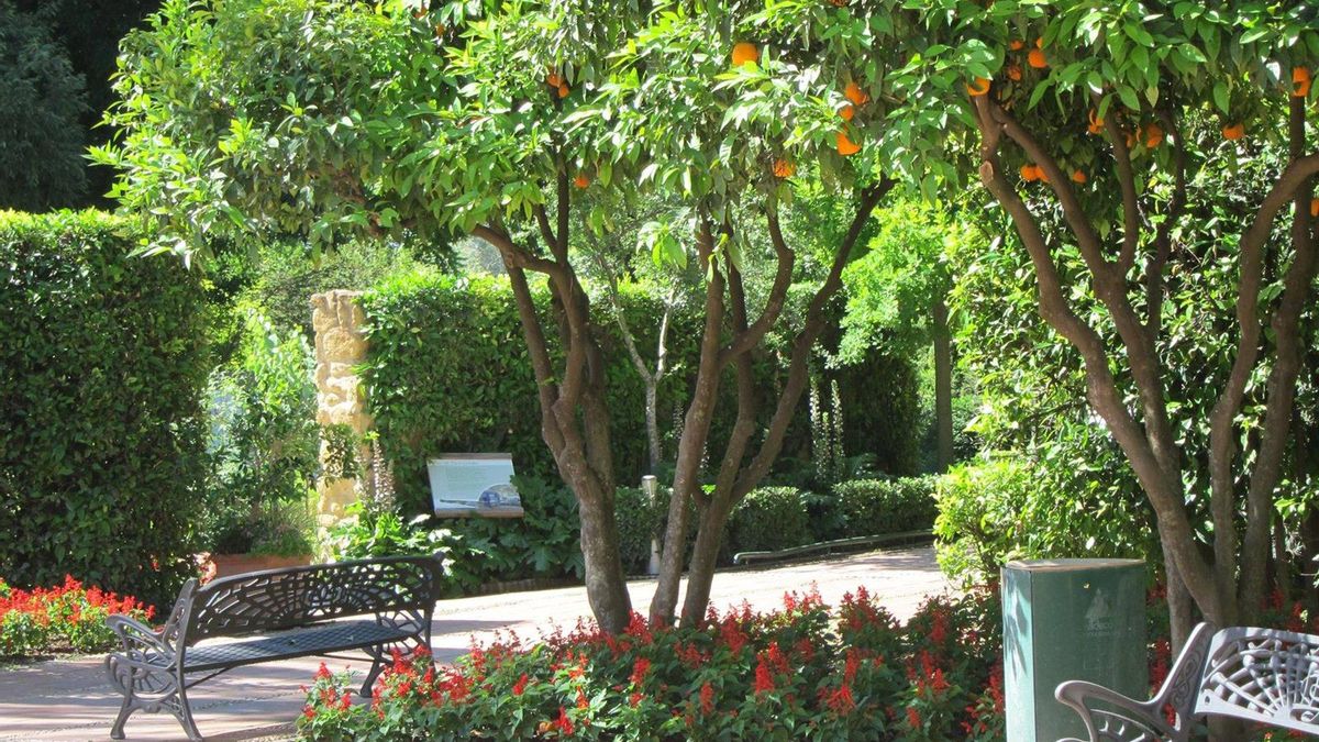 El Jardín Botánico acoge de nuevo 'Raíces' con 13 espectáculos para los martes y miércoles de julio y agosto