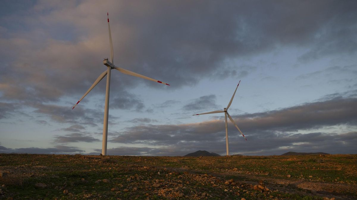 El viento soplará fuerte en Canarias en un miércoles con menos frio