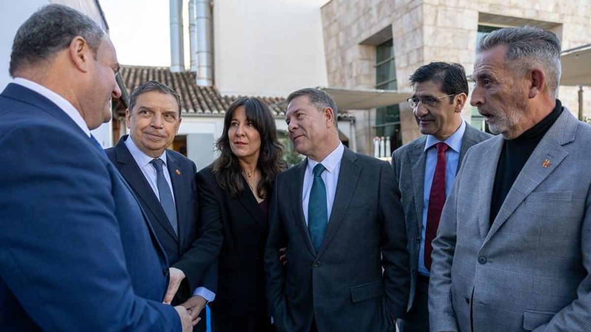 El Ministerio analizará si la UE puede cubrir los daños del temporal en el sector agrario de Castilla-La Mancha