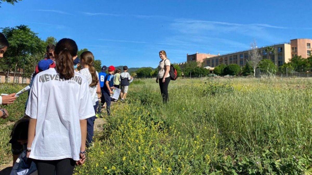 La Universidad de Córdoba busca colegios con descampados para poner en valor la biodiversidad local