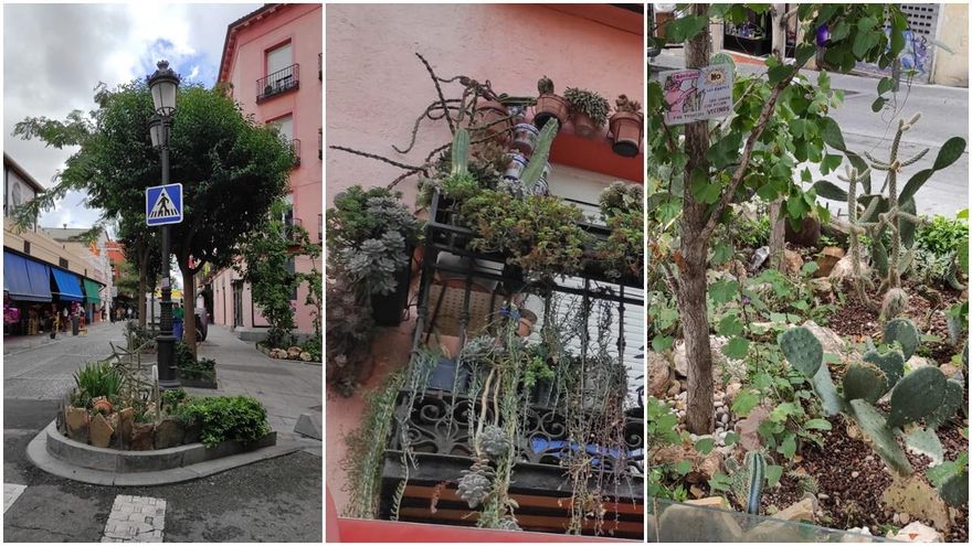 Alcorques y balcón de la calle Santa Isabel