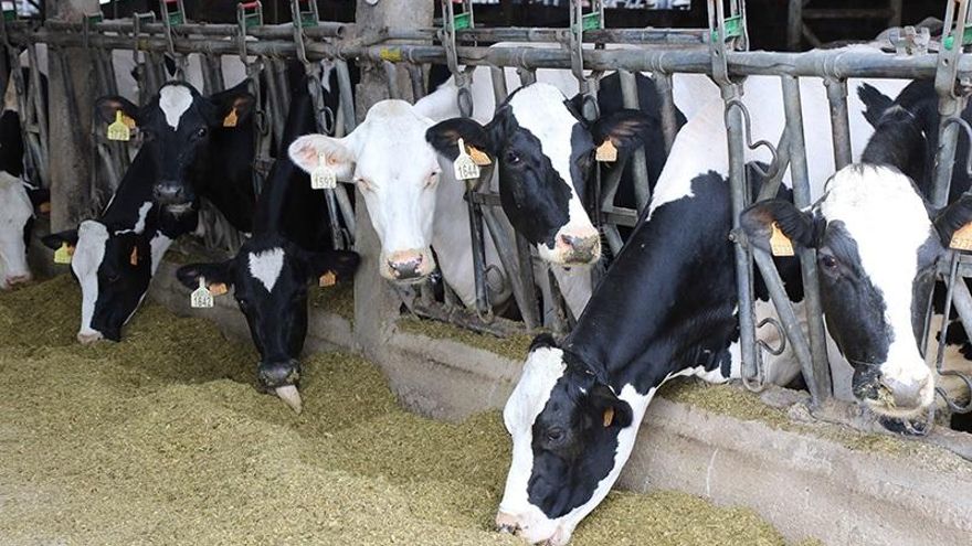 Explotación ganadera