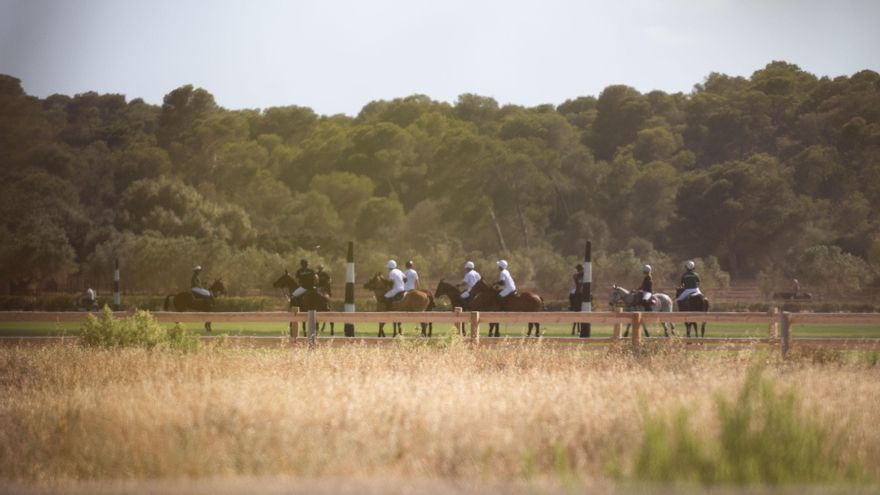 Vox se crece y fuerza al PP a colar en una ley avícola la supresión del catalán y la legalización de campos de polo en Balears