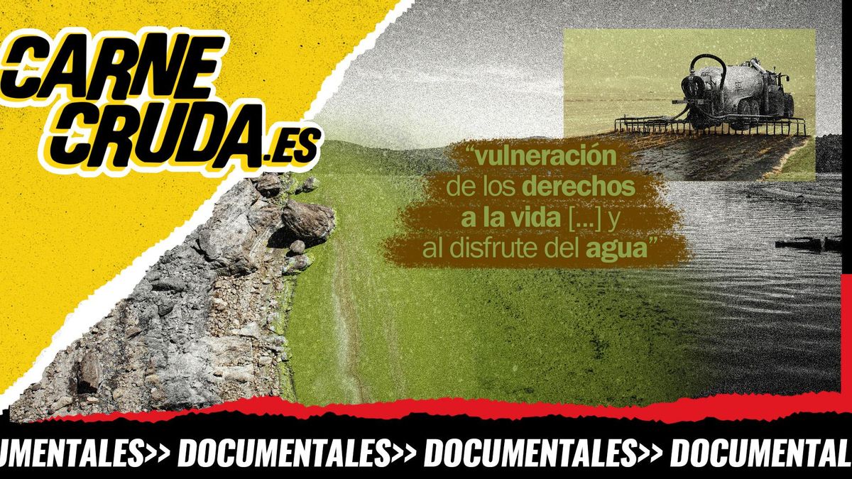 As conchas: el pueblo que ganó contra el modelo de macrogranjas