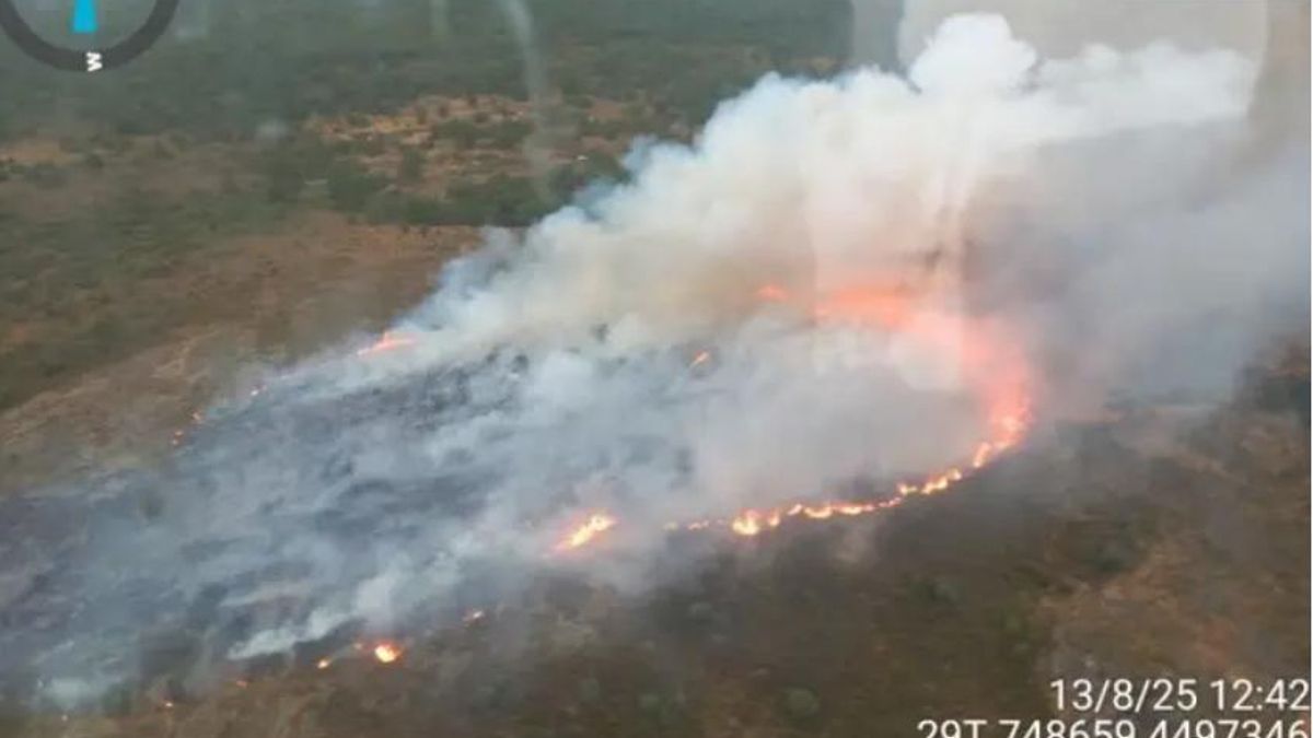 Nuevo incendio en Salamanca: baja el peligro del fuego en La Bastida, que amenazaba la comarca de la Sierra de Francia