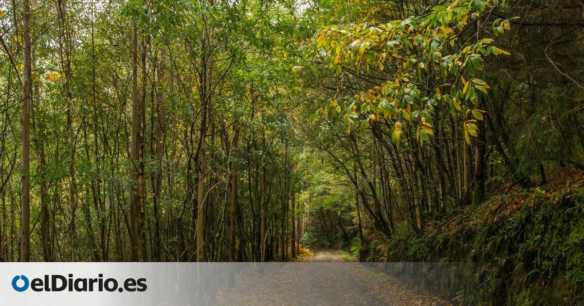 Consejos para organizar una escapada en otoño: tres destinos senderistas dentro de España