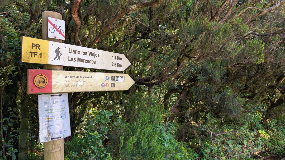 Comienzo del Sendero de los Sentidos, en Anaga.