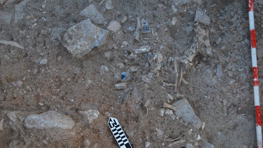 Lo que desvelan los ‘basureros’ de la villa romana de Noheda sobre la alimentación de hace quince siglos