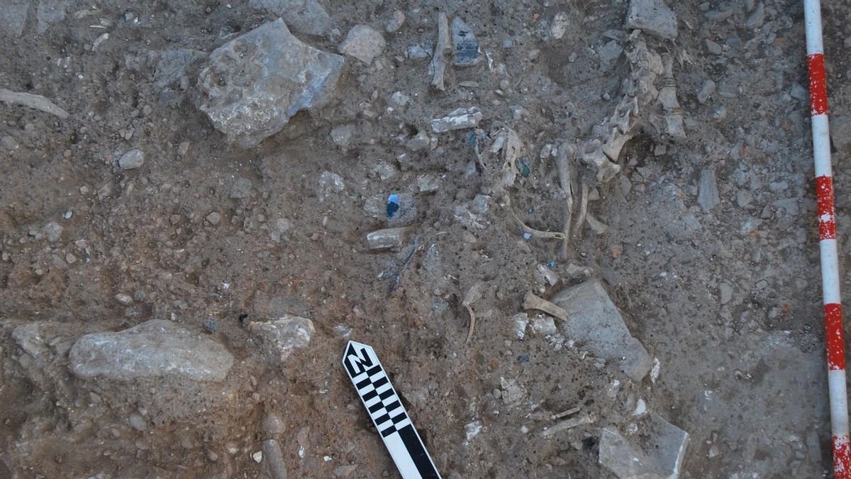 Lo que desvelan los ‘basureros’ de la villa romana de Noheda sobre la alimentación de hace quince siglos