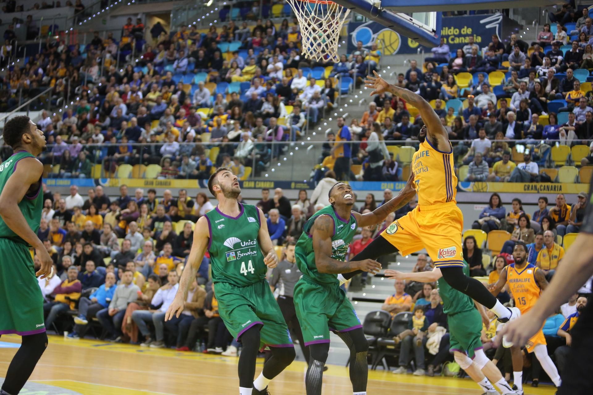 Imagen del encuentro entre el Herbalife Gran Canaria y el Unicaja Málaga. Alejandro Ramos.