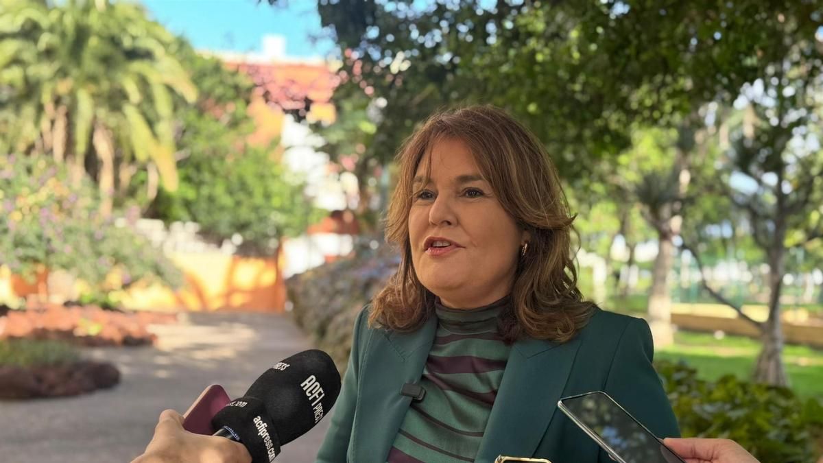 El PP rechaza declarar Las Palmas de Gran Canaria como zona tensionada: será "contraproducente"