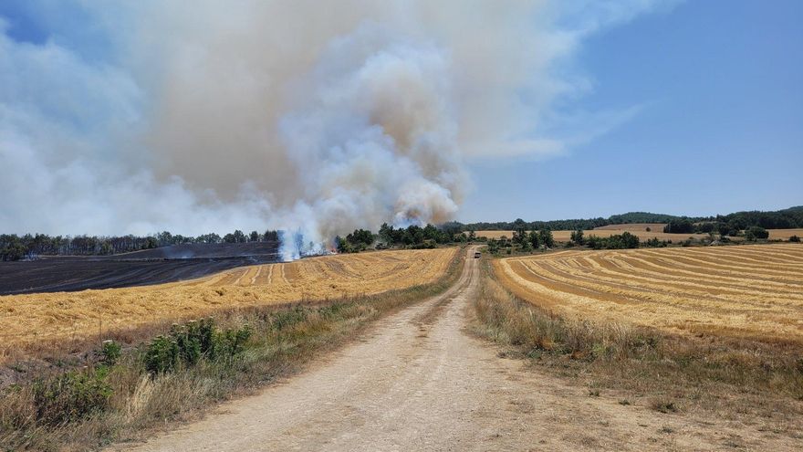 La ola de calor deja otra sucesión de incendios en Euskadi, que anuncia una "fase de emergencia"