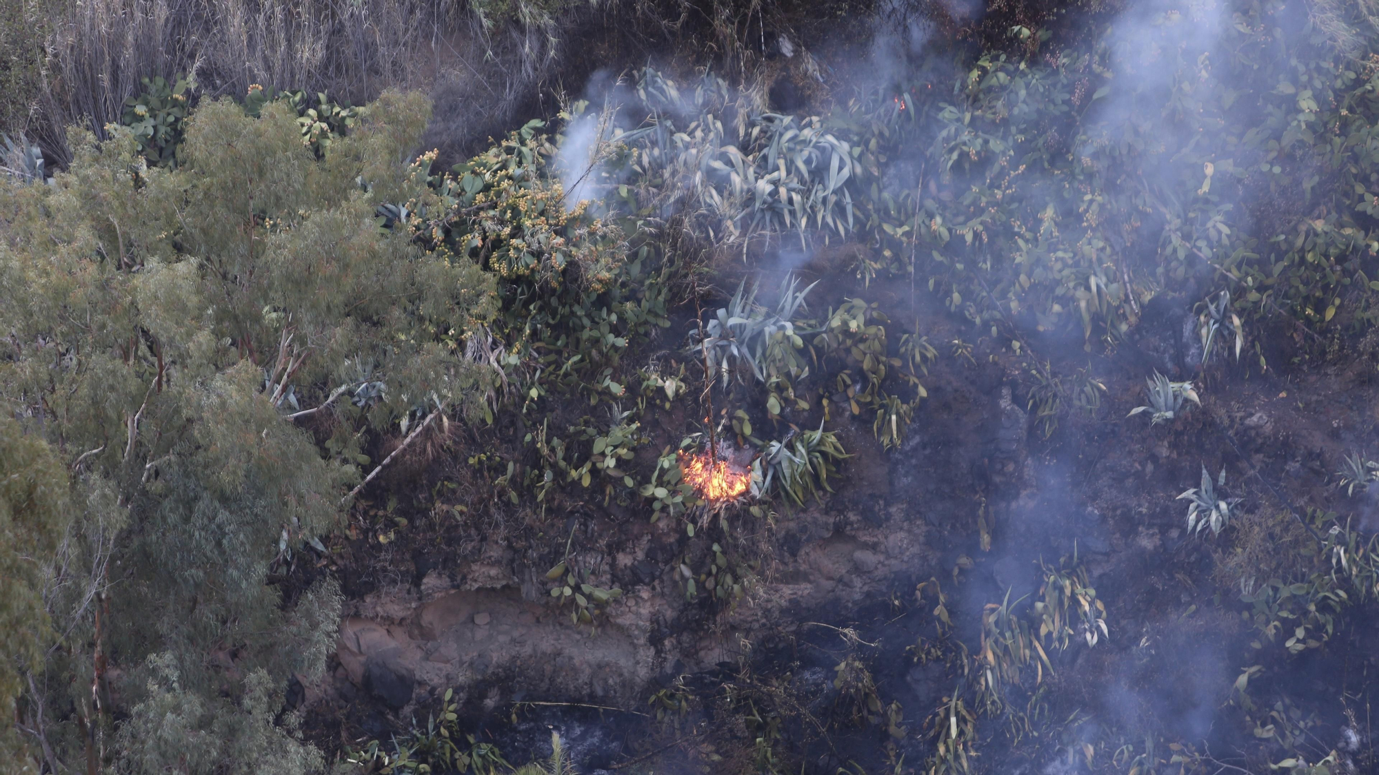 El incendio de Fataga del pasado sábado, en imágenes