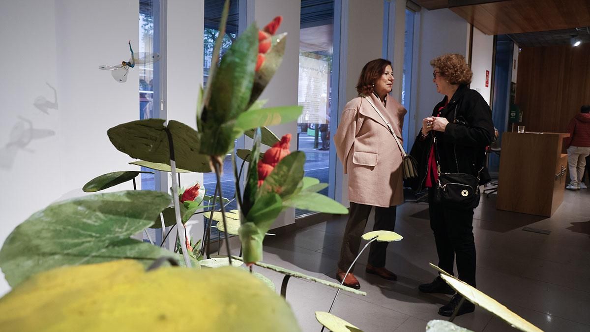 La Fundación Cajasol inaugura la exposición “Humedales. El reino de las libélulas” de Julia Hidalgo