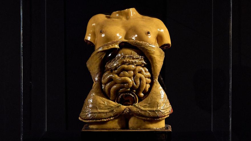 Venus de Médici cedida por el Museo de Anatomía Javier Puerta para 'Ofertorio'