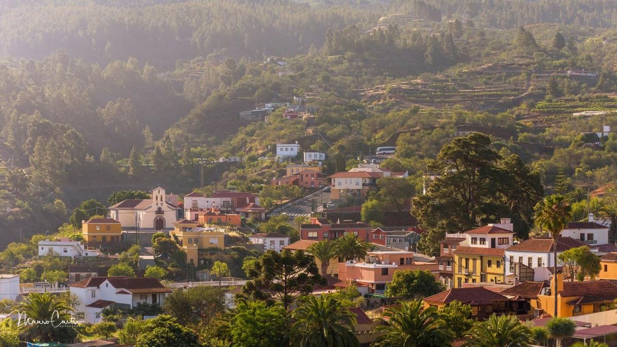 Puntagorda celebra el Día Internacional de las Personas Mayores
