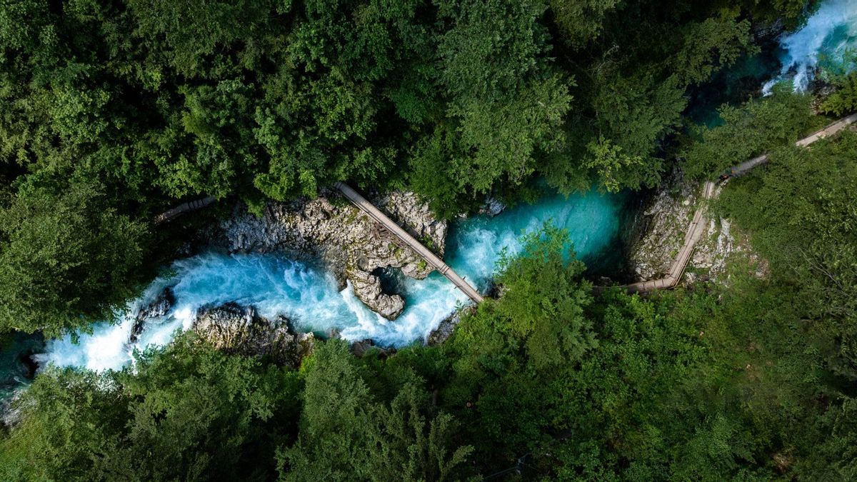 La garganta de Vintgar, en Eslovenia.