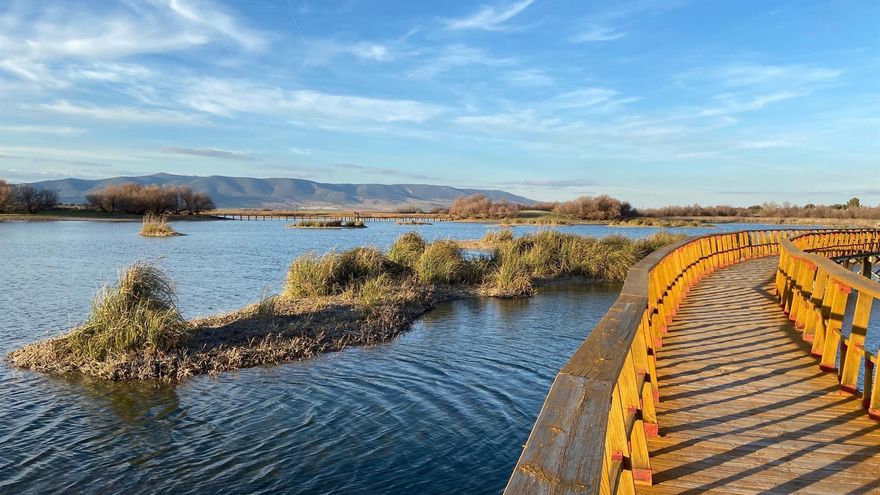 Detectan gripe aviar en las Tablas de Daimiel sin riesgo para la salud humana pero reclaman "medidas urgentes"