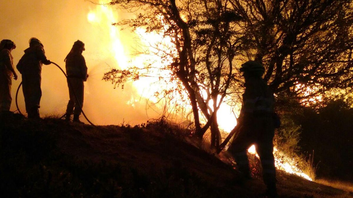 Efectivos de emergencias durante la extinción de un incendio en Valderredible.
