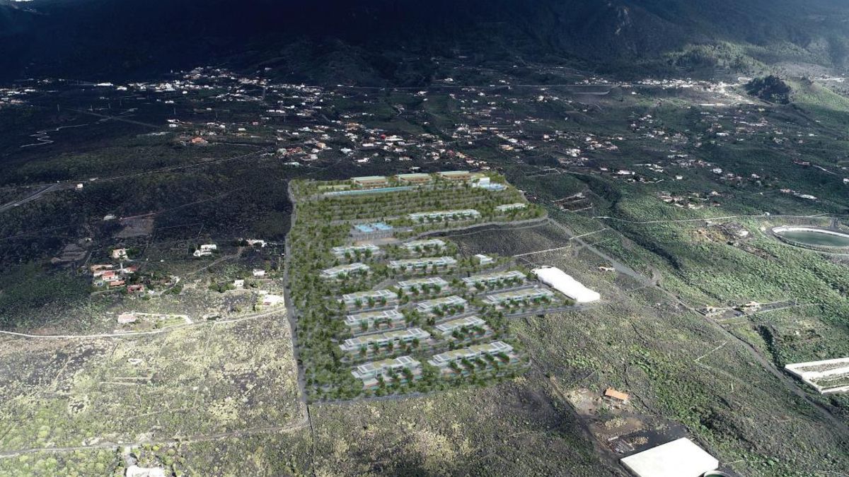 Infografía del proyecto 'Dichosa Welnness Clinic'