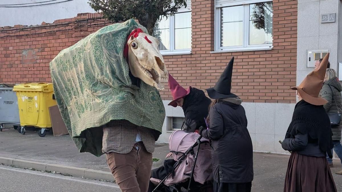 Antruejo de Carrizo de la Ribera.