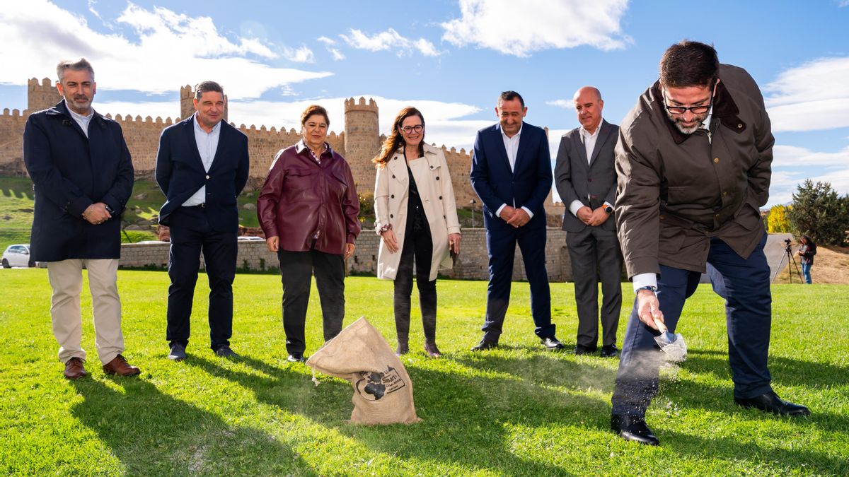 LG presenta 'Smart Green Minerals', el primer proyecto urbano de fijación permanente de dióxido de carbono en España