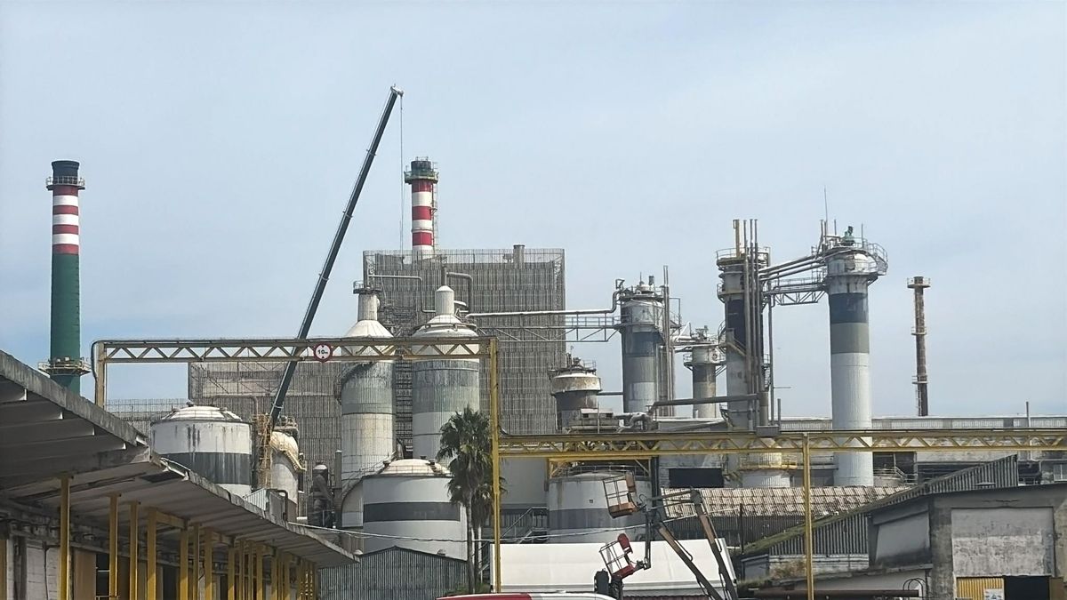 Ence comunica a Trabajo que despedirá a 35 trabajadores en la fábrica de Pontevedra