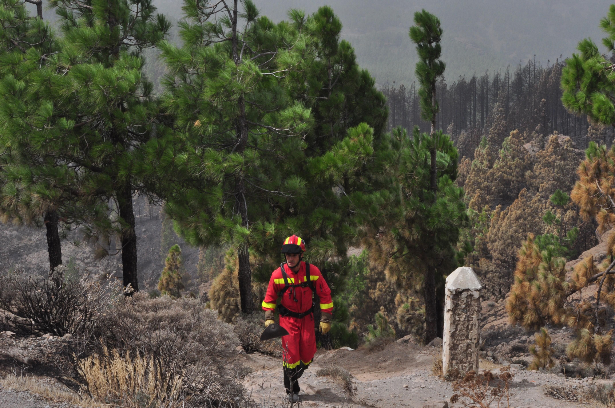 Un miembro de la UME en el Pico de las Nieves
