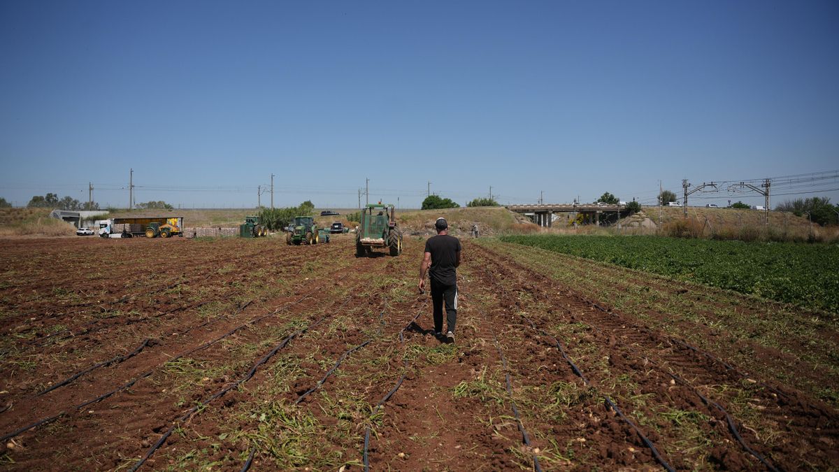 Mientras España vive una crisis institucional grave, en Europa nos jugamos la soberanía alimentaria