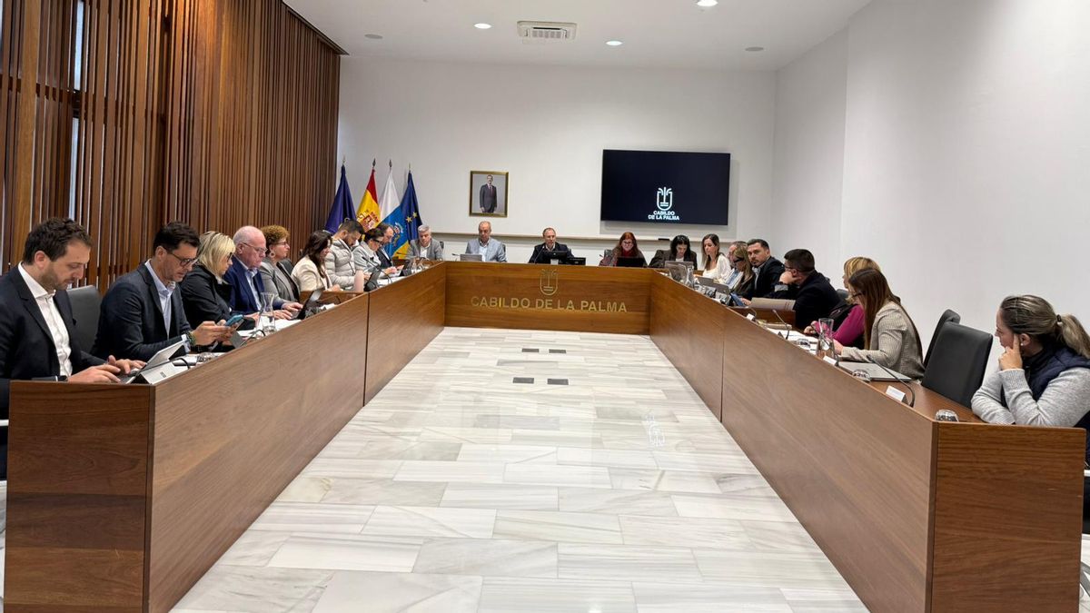 Apoyo "incondicional" de La Palma  "al pueblo de Venezuela"