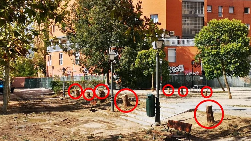 Vecinos de la Cornisa denuncian una tala de árboles en las obras para remodelar su parque