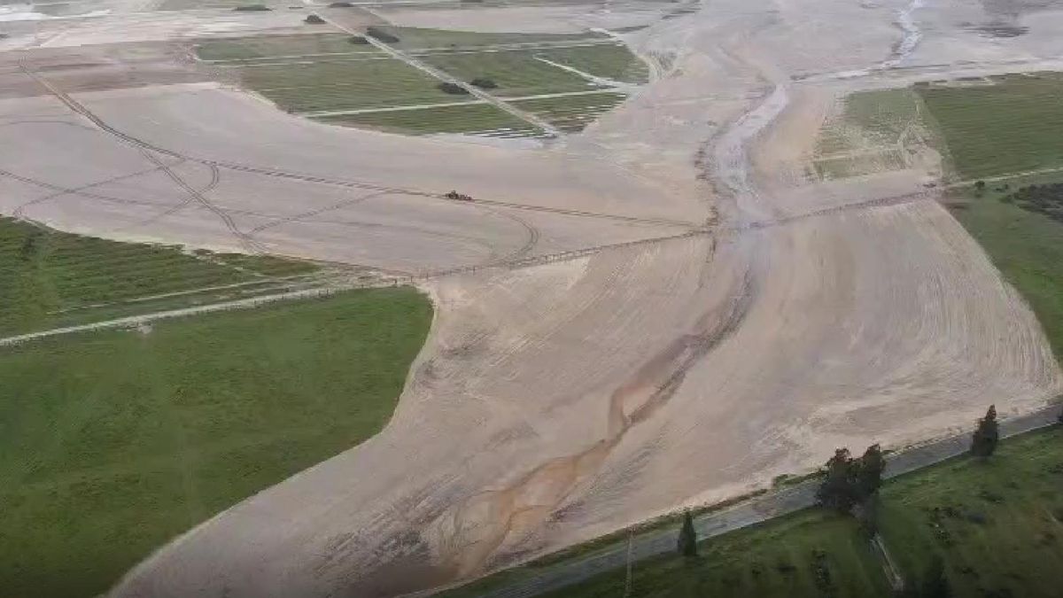 Arroyos de Doñana recuperan el cauce natural que les robaron los cultivos