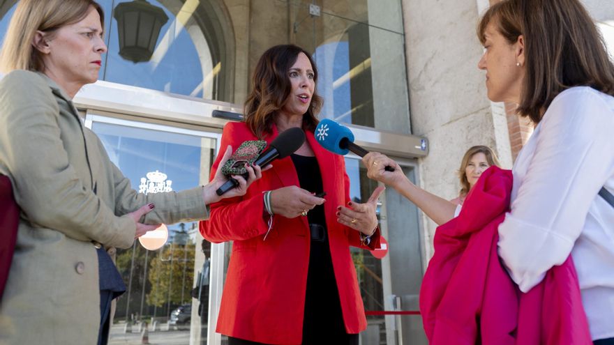 La consejera de Fomento, Articulación del Territorio y Vivienda de la Junta de Andalucía, Rocío Díaz, atiende a los medios a su llegada a la Conferencia Sectorial de Vivienda y Agenda Urbana, en el Ministerio de Vivienda y Agenda Urbana.