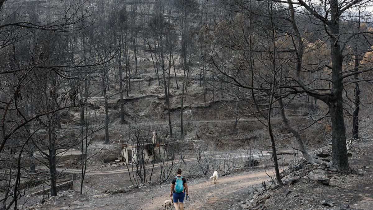 Emergencias espera controlar el incendio de la Vall d'Uixó, que se investiga como intencionado, entre el lunes y el martes