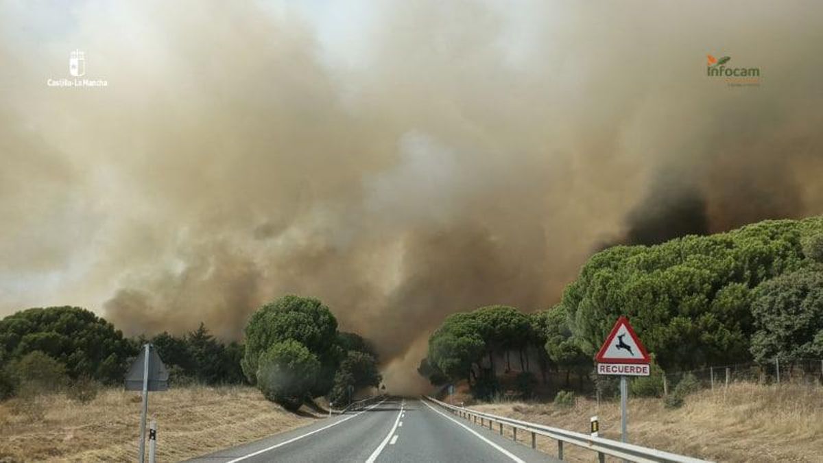 Evacuada una urbanización de Almorox, en Toledo, por el incendio en un pinar