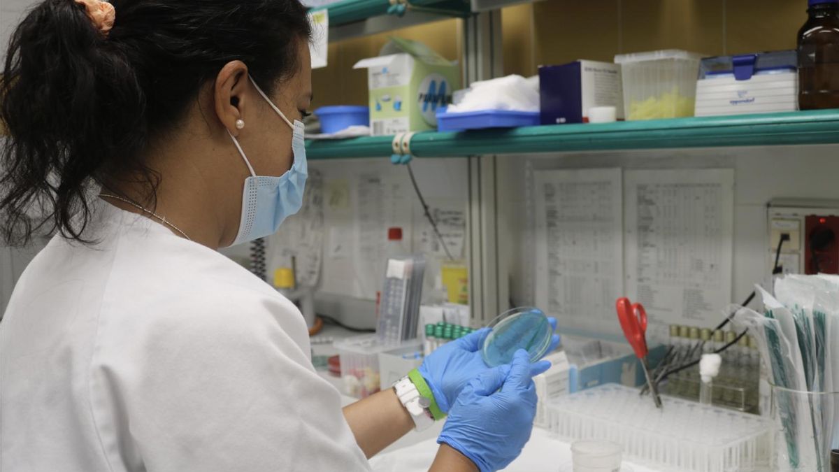 Una sanitaria en un laboratorio.